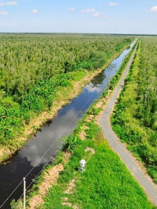 Vườn Quốc gia U Minh Hạ_U Minh Ha National Park