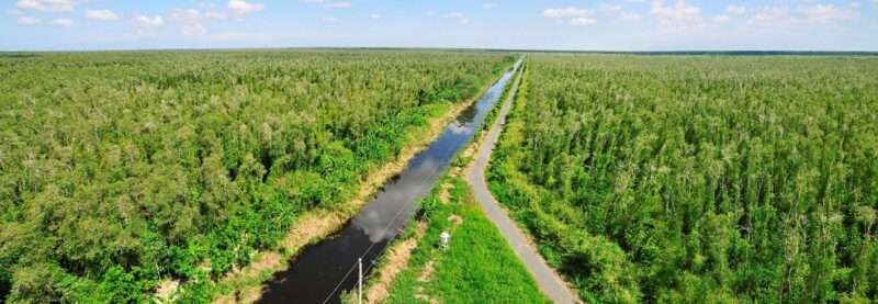 Vườn Quốc gia U Minh Hạ_U Minh Ha National Park