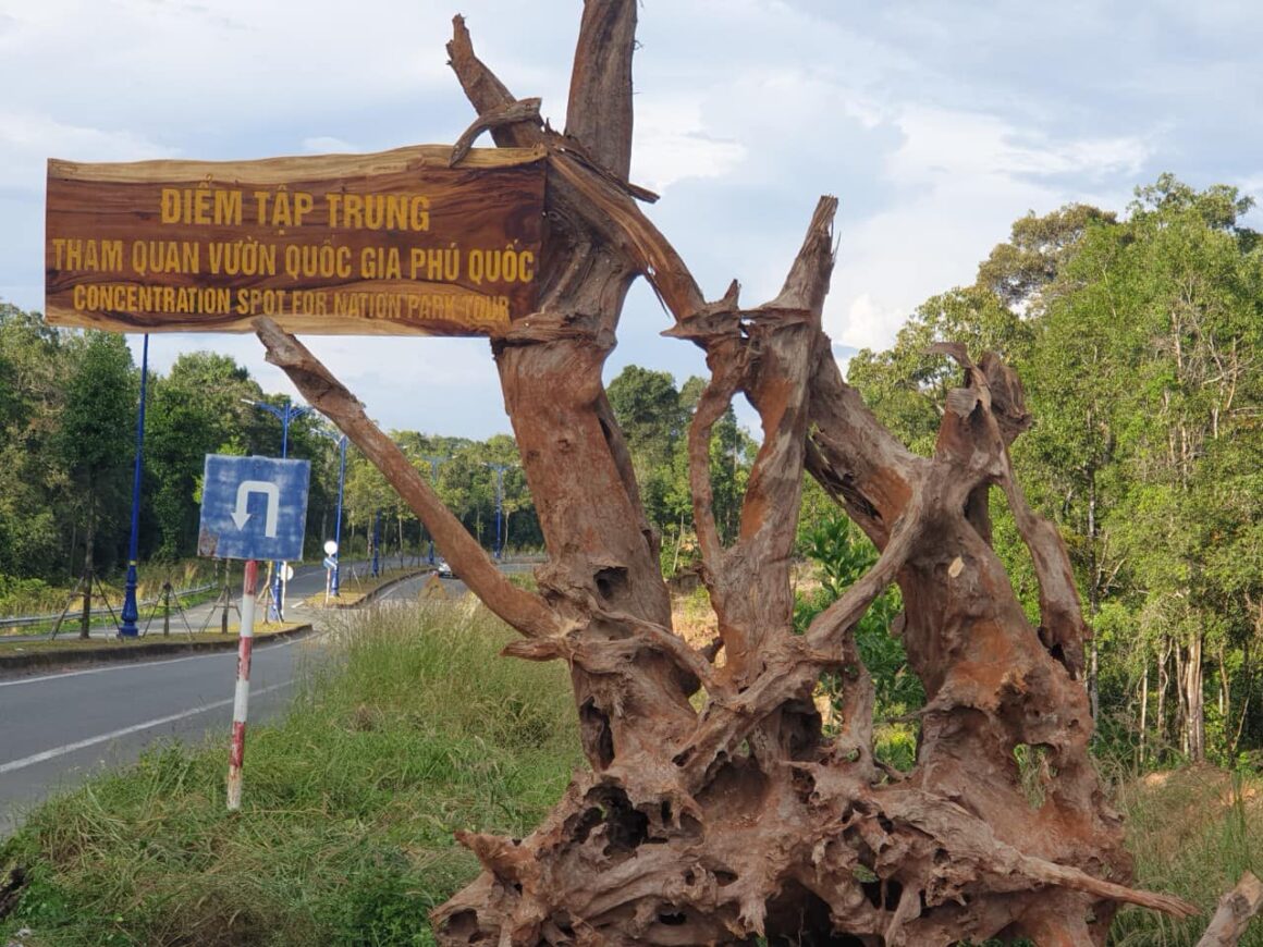 Khám phá Vườn Quốc gia Phú Quốc – khu dự trữ sinh quyển thế giới với rừng nguyên sinh, hệ sinh thái đa dạng và trải nghiệm trekking độc đáo tại đảo ngọc Việt Nam.