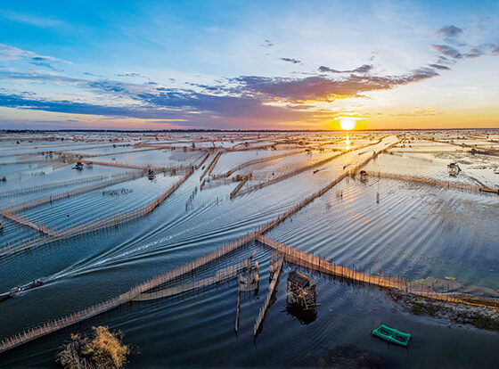 Tam Giang Lagoon_thumb