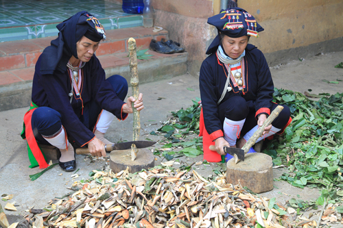 Traditional Vietnamese herbal medicine_2