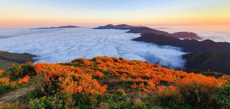Vietnam cloud hunting_thumb