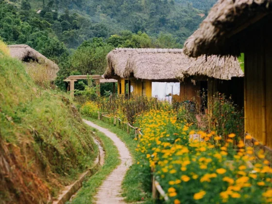 Authentic accommodation Vietnam_thumb