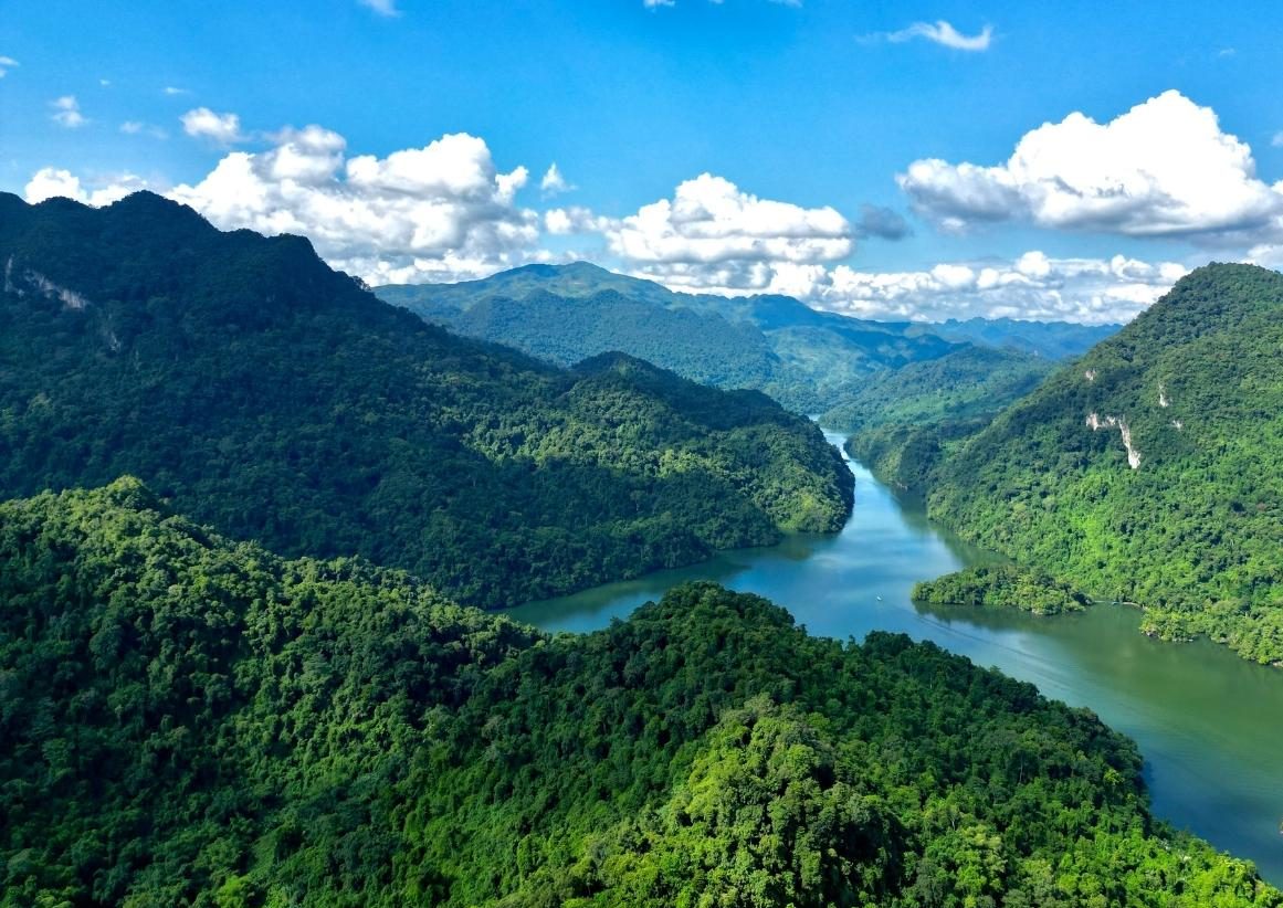 Best forests in Vietnam_1