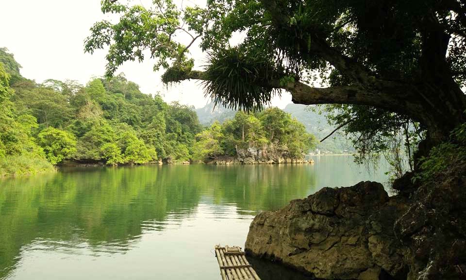 Best forests in Vietnam_2