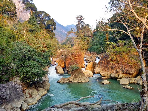 Best forests in Vietnam_4