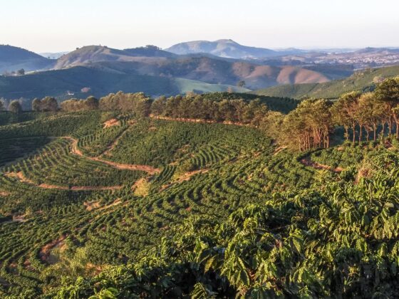 Buon Ma Thuot coffee tour_thumb