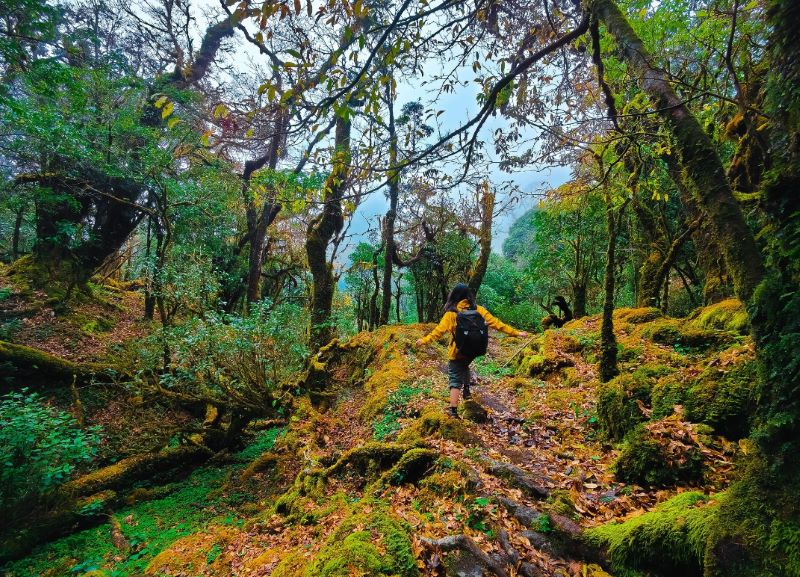 Central Highlands Vietnam trekking_4