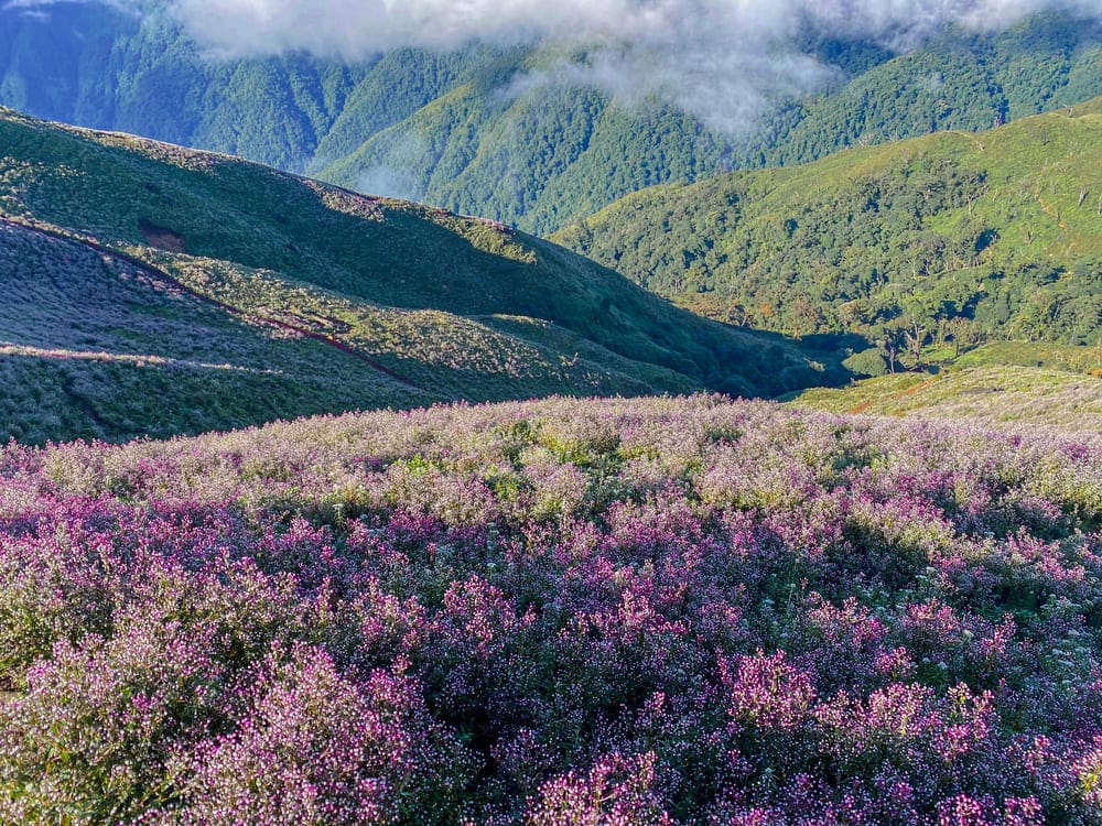 Easy treks in Vietnam_thumb