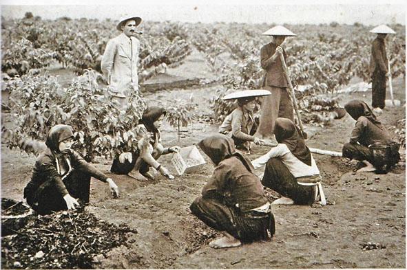 History of Vietnamese coffee_1