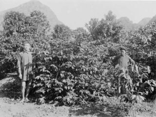 History of Vietnamese coffee_thumb