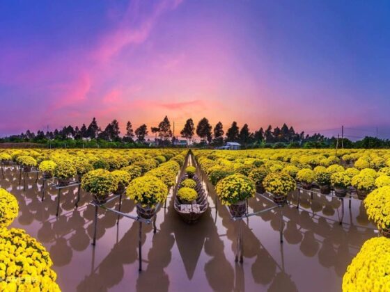 Mekong Delta mangroves_thumb