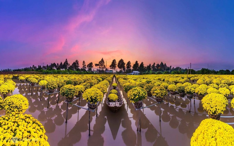 Mekong Delta mangroves_thumb