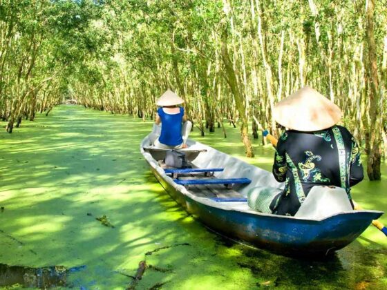 Nature sounds Vietnam_thumb