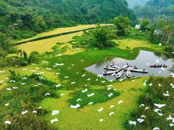 Ninh Binh tourism_thumb