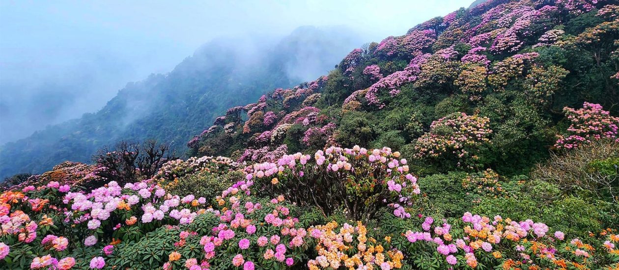 Sacred mountains Vietnam_3