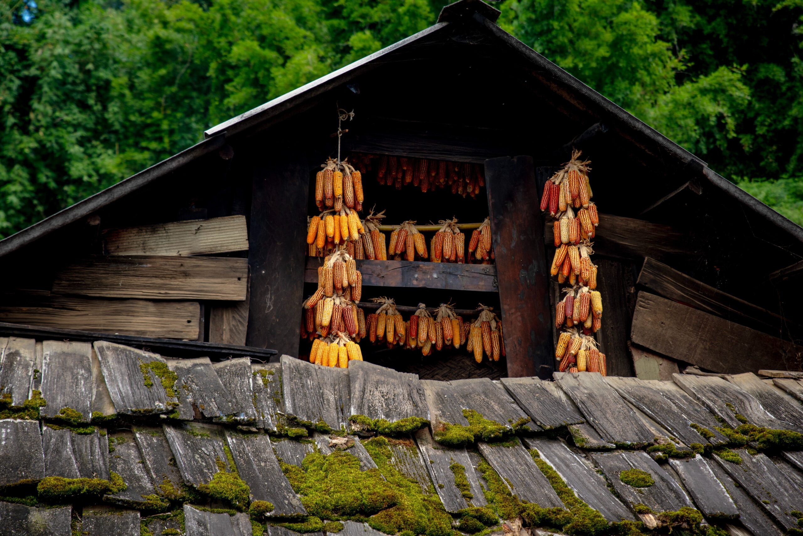 Stilt houses Vietnam_3