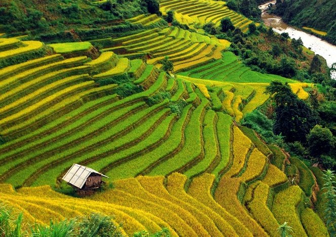 best rice terraces in Vietnam_2