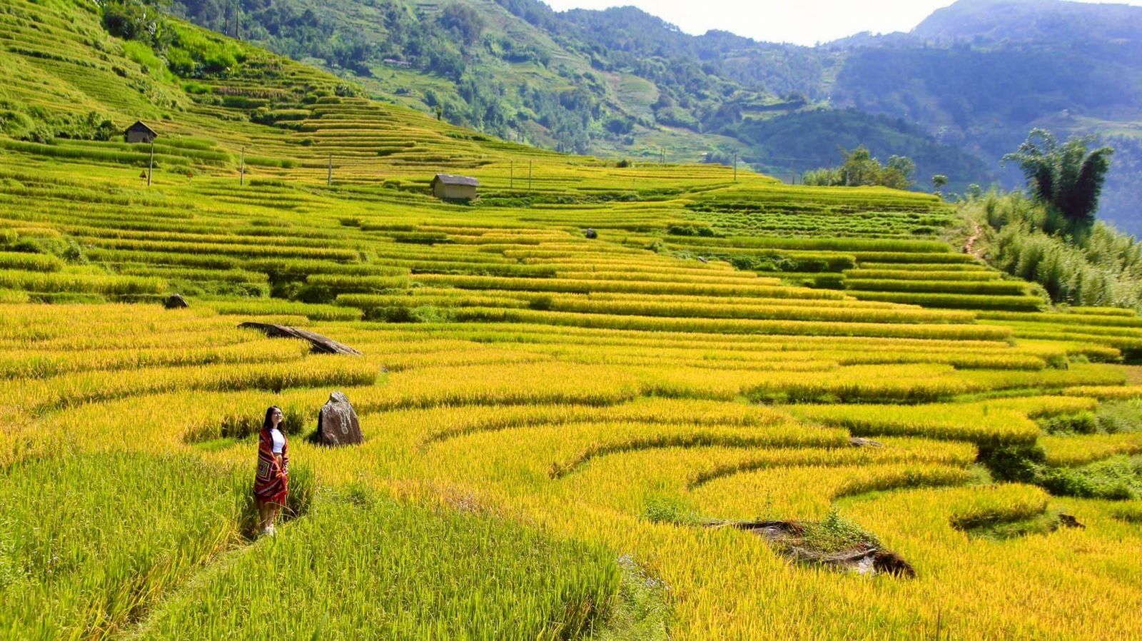 best rice terraces in Vietnam_3