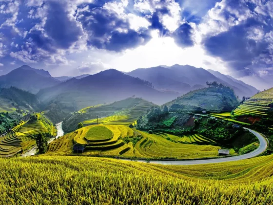 best rice terraces in Vietnam_thumb
