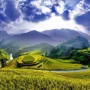 best rice terraces in Vietnam_thumb