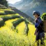 indigenous tourism in Vietnam_thumb