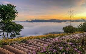 meditation retreat in Vietnam_1