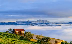 meditation retreat in Vietnam_thumb