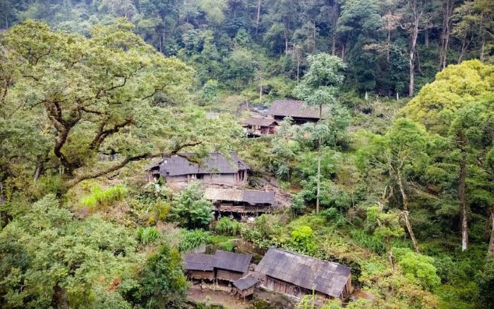 sacred forests Vietnam_1
