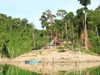 Vườn Quốc gia Sông Thanh