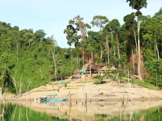 Vườn Quốc gia Sông Thanh