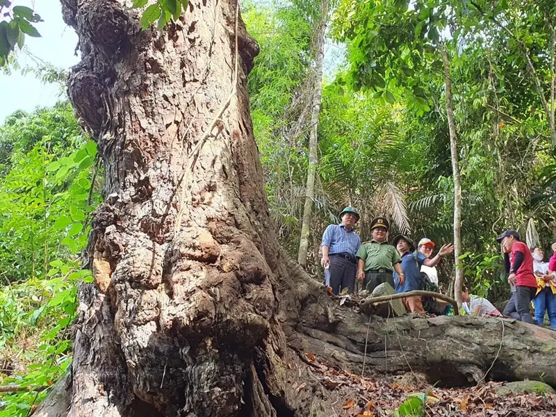 Vườn Quốc gia Sông Thanh