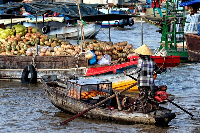 Mekong Delta mangroves