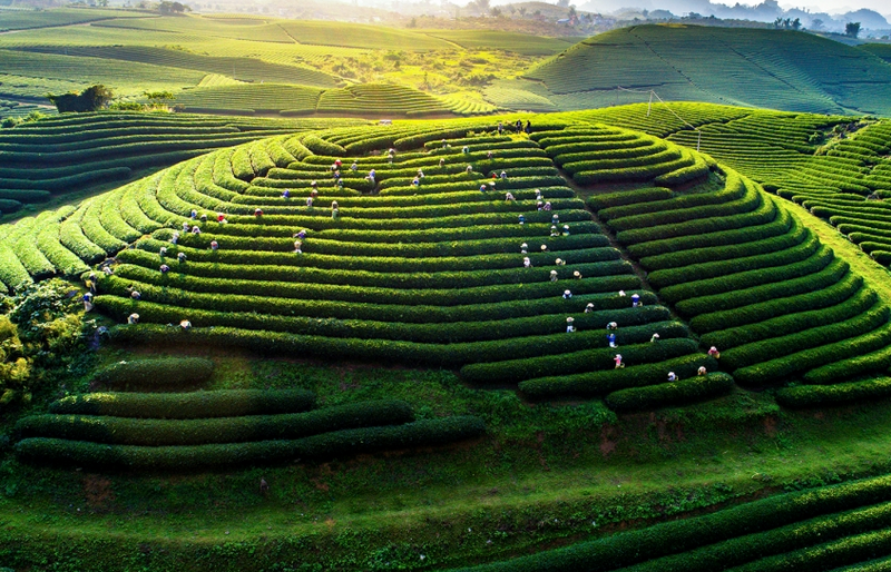 Vietnam Tepui Plateaus_5