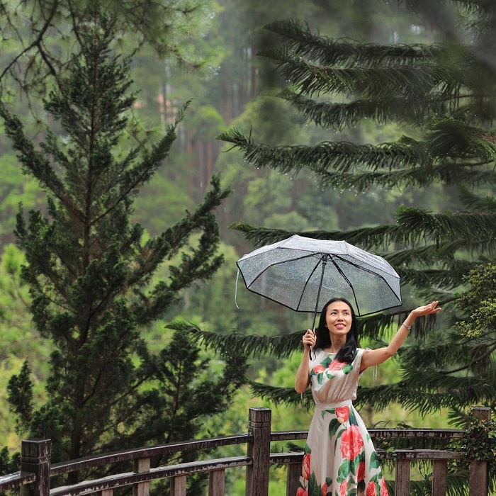 Vietnam rainy season travel_5