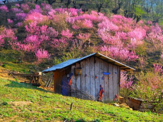 Vietnam travel itinerary 4 seasons_thumb