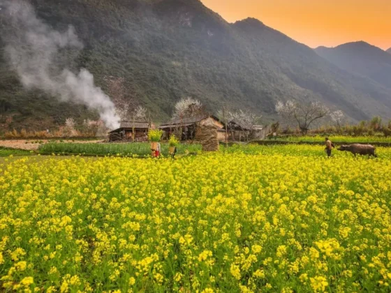 cultural immersion Vietnam_thumb