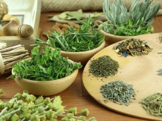 indigenous plant medicine Vietnam_thumb