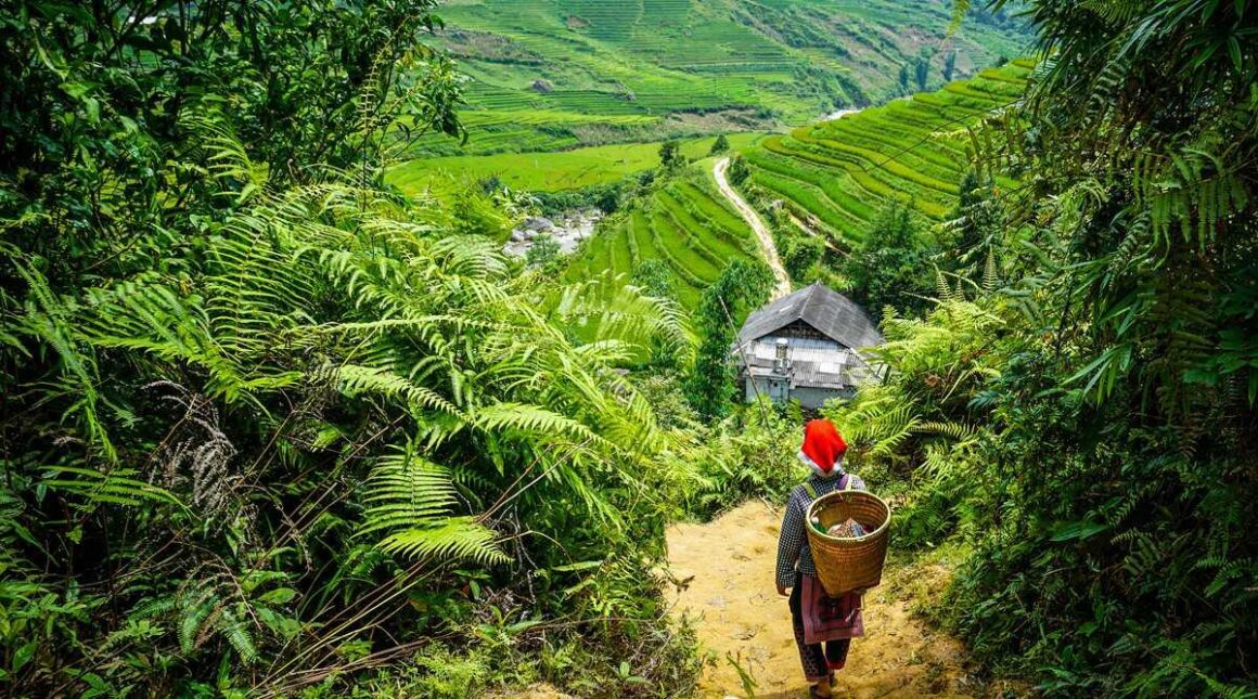 offline maps for trekking Vietnam_thumb