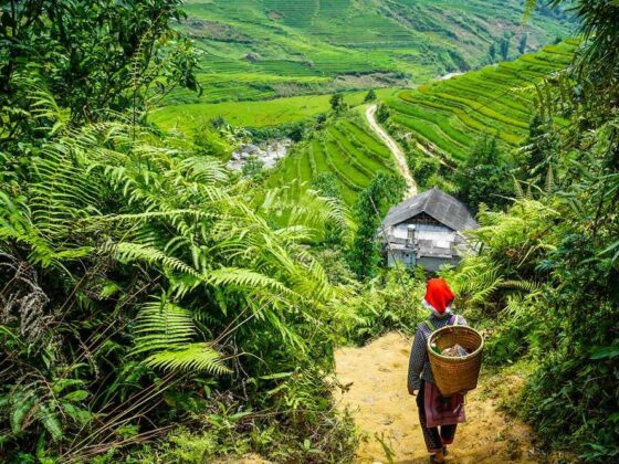 offline maps for trekking Vietnam_thumb