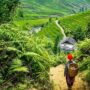 offline maps for trekking Vietnam_thumb