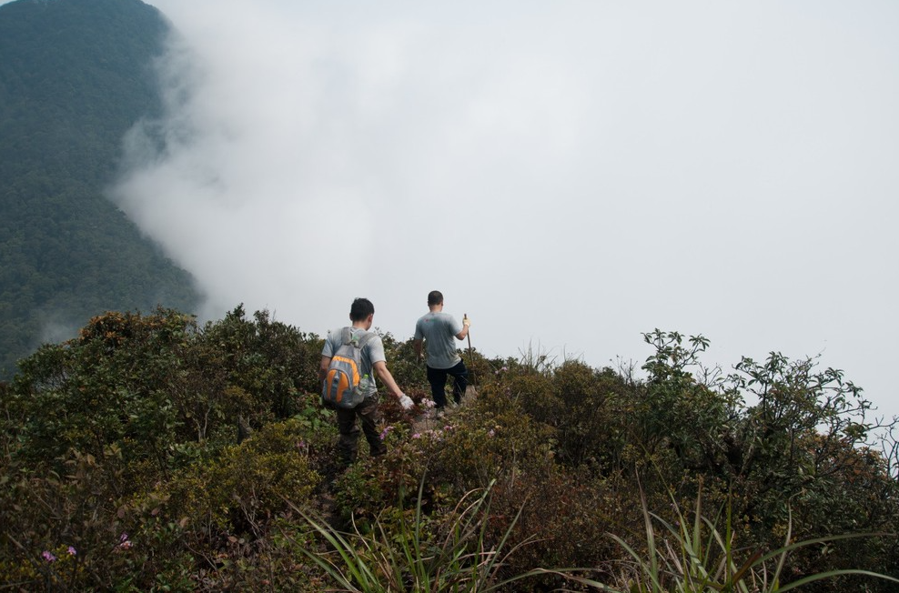 Vườn Quốc gia Tam Đảo - Tam Dao National Park is one of Northern Vietnam’s most attractive destinations for trekking and eco-tourism. With its cool climate year-round, rich tropical rainforest ecosystem, and a diverse network of hiking trails, 