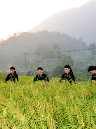 La Chi ethnic group Vietnam_2