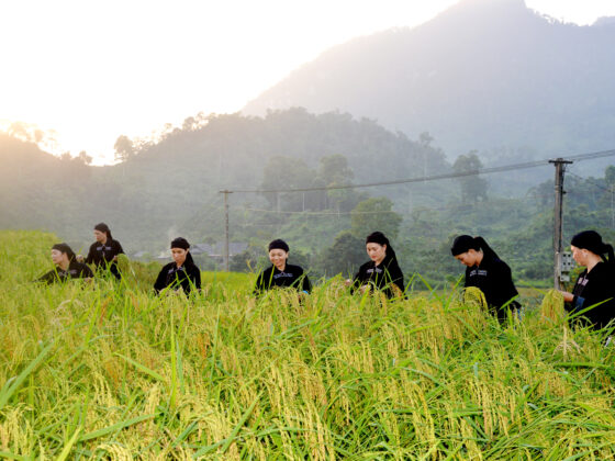 La Chi ethnic group Vietnam_2