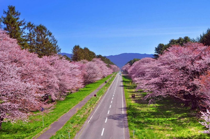 Vietnam adventure travel calendar_2