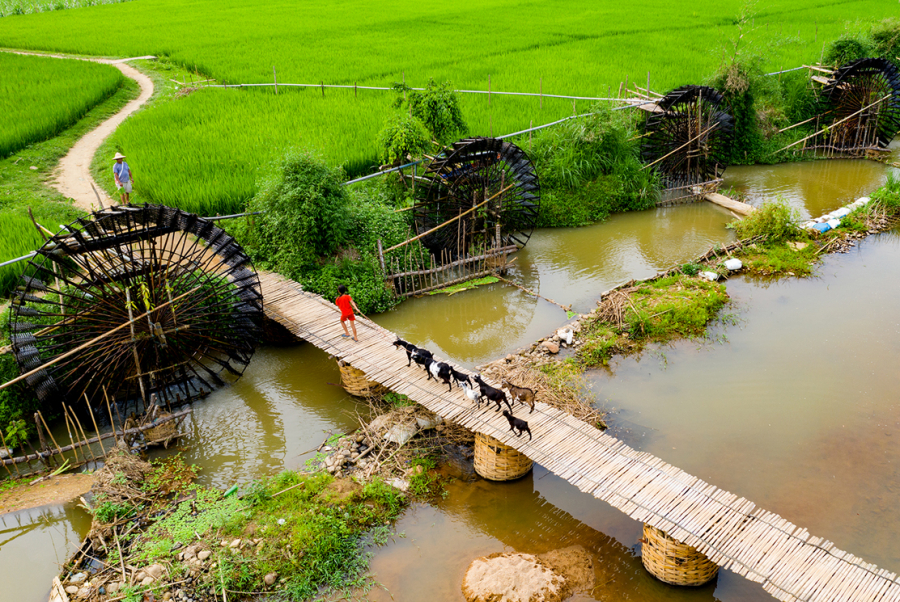 bamboo water wheels Vietnam_3