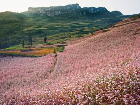 trekking etiquette in Vietnam