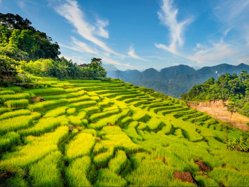 best hiking in Vietnam for nature lovers_thumb
