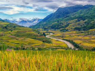 best hiking in Vietnam for nature lovers_thumb