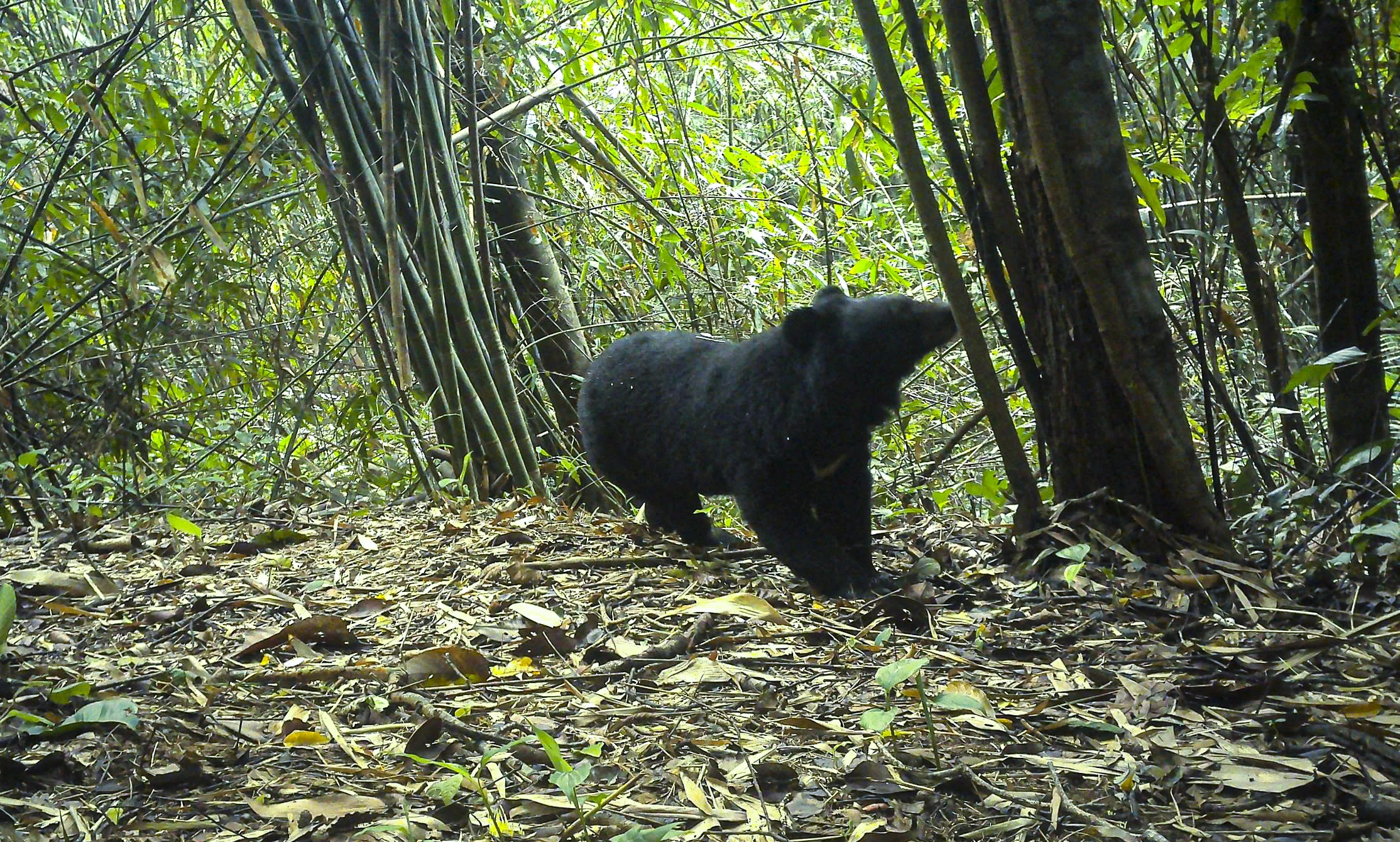 Vườn Quốc gia Chư Mom Ray